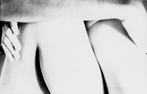 © Guillaume Chaplot 2012