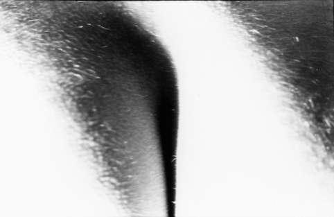 © Guillaume Chaplot 2012