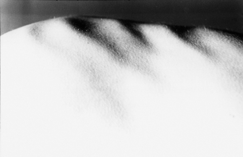 © Guillaume Chaplot 2012