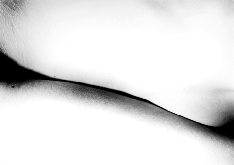 © Guillaume Chaplot 2012