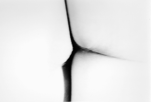 © Guillaume Chaplot 2012