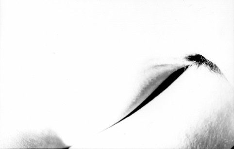 © Guillaume Chaplot 2012