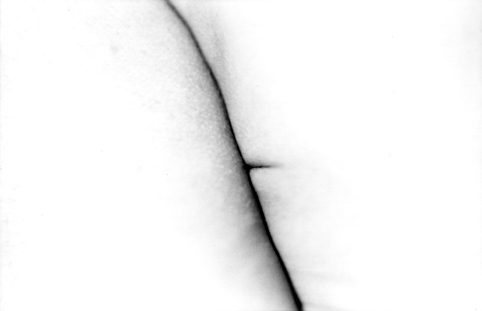 © Guillaume Chaplot 2012