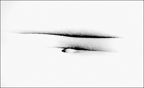 © Guillaume Chaplot 2012