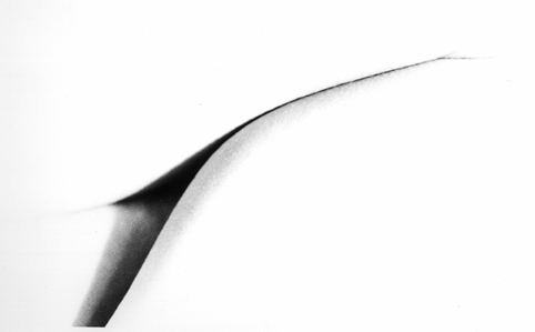 © Guillaume Chaplot 2012